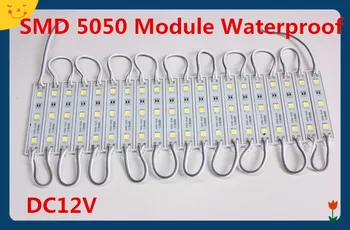 1000pcs/DAUDZ SMD 5050 LED gaismas modulis LED apgaismojums LED modulis RGB Dzeltena/Zaļa/Sarkana/Zila/Balta/Silti Balts Ūdensizturīgs IP65 DC12V