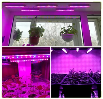 Pilna Spektra Led Augt Gaismas T5 LED Fito LampsFor Hidroponiskas Augt Augu Augšanas Gaismas sētu augt telts kaste
